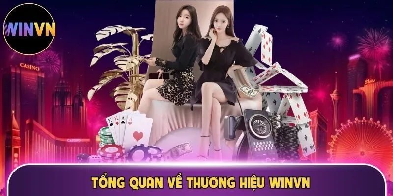 Tổng quan về thương hiệu thể thao hàng đầu WINVN
